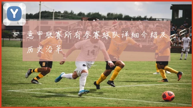 意甲联赛所有参赛球队详细介绍及历史沿革