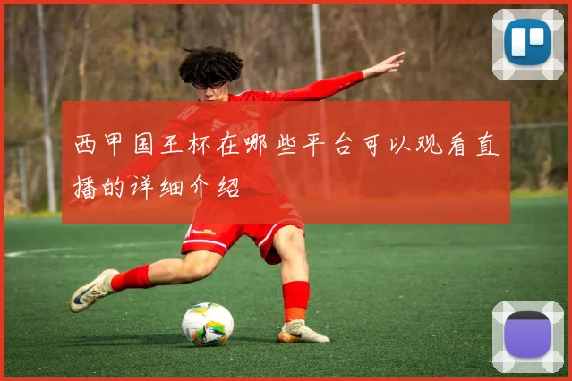 西甲国王杯在哪些平台可以观看直播的详细介绍